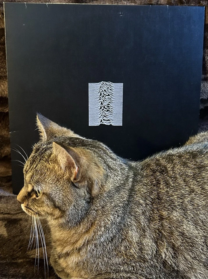 UNKNOWN PLEASURES (LP FACT 10) JOY DIVISION - 2015 - Textured Reissue 180g - Image 2 of 4