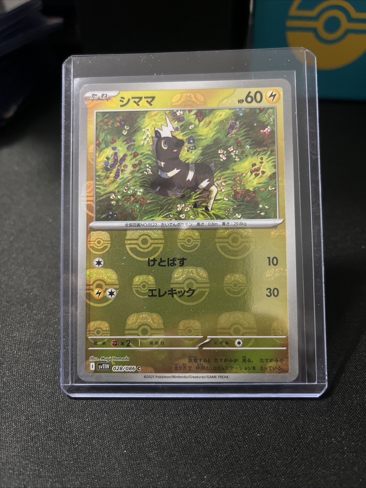 Blitzle (Master Ball Reverse Holo) C 028/086 SV11W White Flare Pokemon Japanese