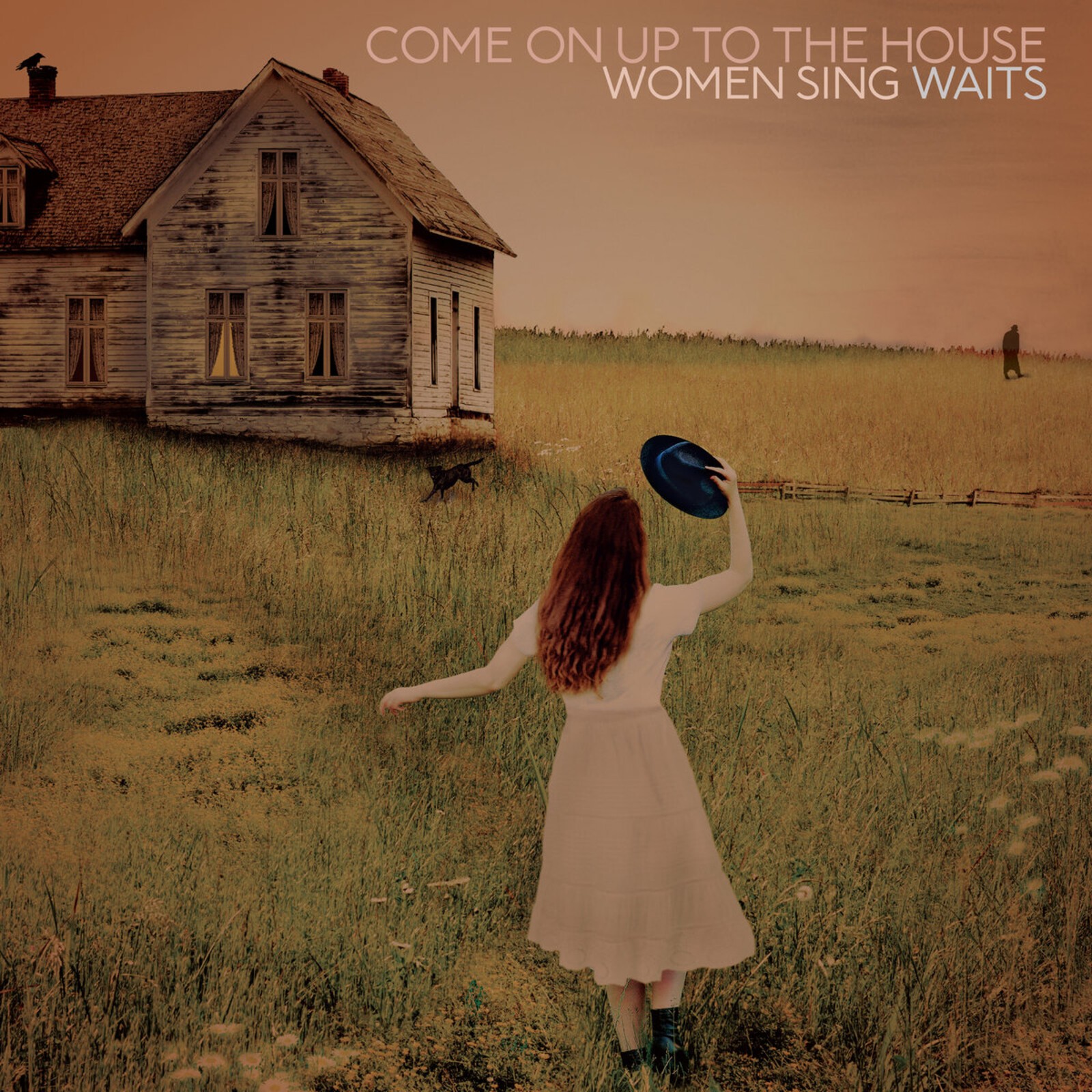 Various Artists Come On Up To the House - Women Sing Waits Double LP Vinyl