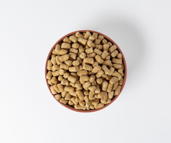 Freeze-Dried Raw Dog Food, High-Protein Complete Meal w/Beef, Chicken, Fish, ...