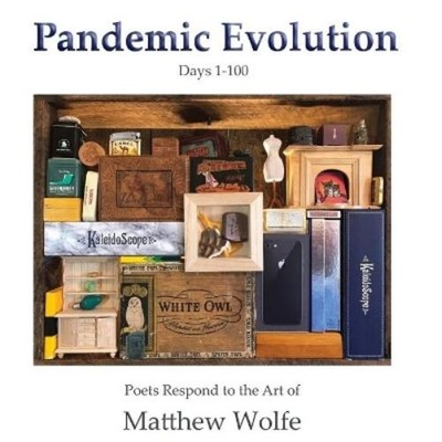 Hayley Haugen Matthew Wolfe Pandemic Evolution (Taschenbuch)