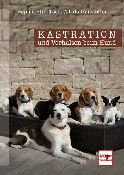 Thumbnail - Kastration Und Verhalten Beim Hund