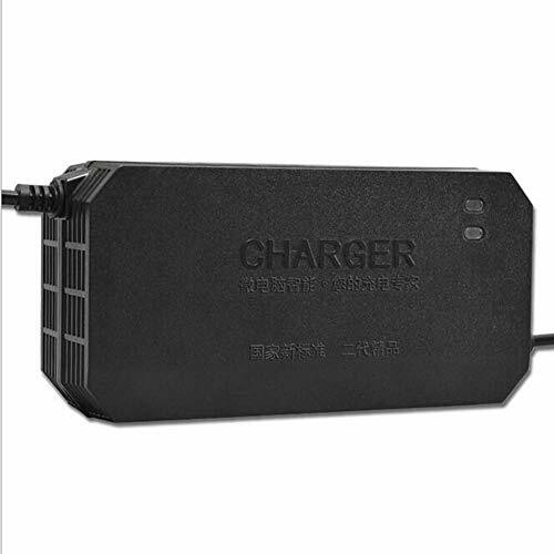 GOZAR 48V 2.5 A 20Ah Lithium Lifepo4 Caricabatterie Compatibile con Moto (I3u)