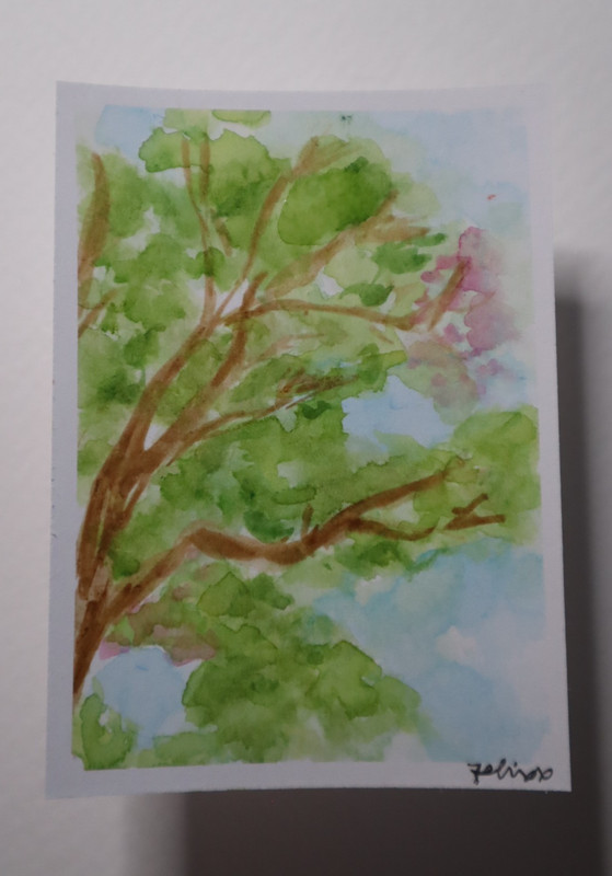 Original one-of-a-kind watercolor ACEO / ATC by Anna Felix Earnest- Tree