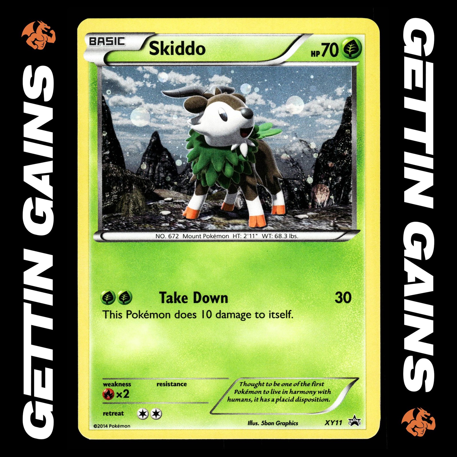 Skiddo - XY11 - Black Star Promo - Pokemon Card - VLP