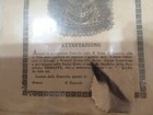 Foto 6 di 6