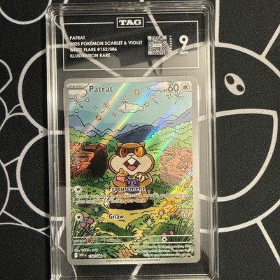 patrat pokemon card Patrat 152/086 Sv: White Flare Holo
