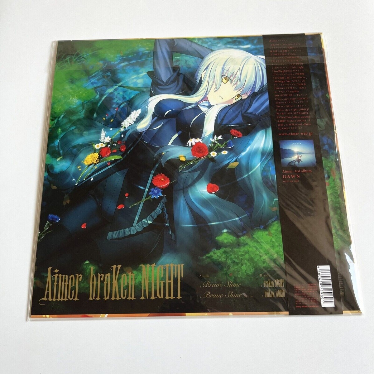 Aimer エメ ポスター broKen NIGHT holLow wORLD|ゲーム Aimer エメ ポスター broKen NIGHT holLow wORLD|ゲーム
