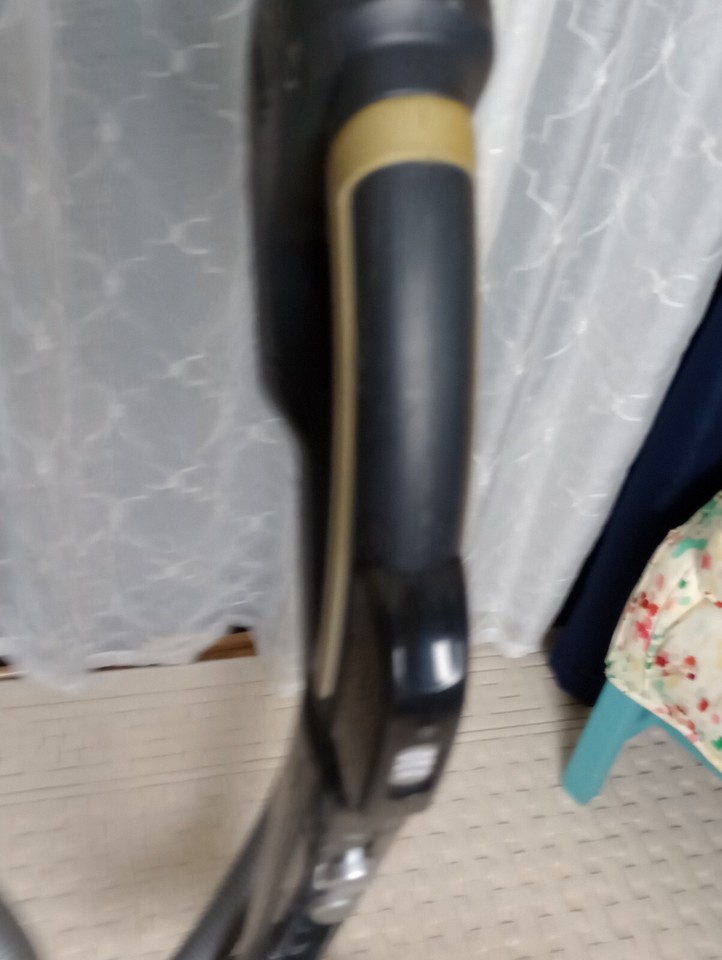 Electrolux UltraActive Bagless Canister Vacuum Cleaner EL4307 with