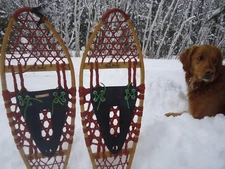 SNOWSHOE BINDINGS, SNOWSHOE HARNESSES, SNOWSHOEING, LIFETIME SNOWSHOE BINDINGS