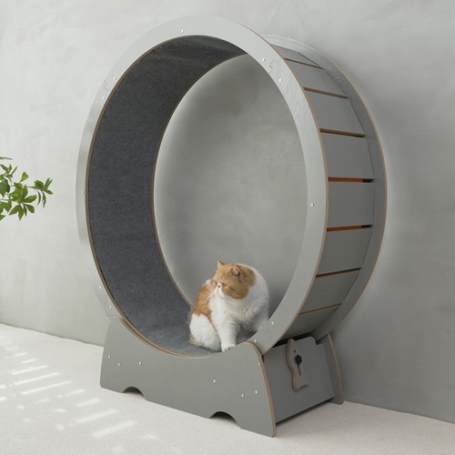 RYpetmia Cat Exercise Wheel Large Wooden/PVC Cat Treadmill Running Wheel Cat Toy - Picture 32 of 65