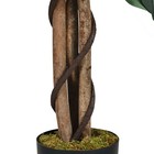 Picture 3 of 6