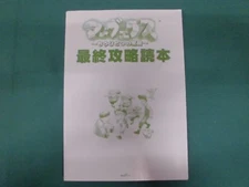 Book -- MARVELOUS Final strategy guide -- SNES. JAPAN Game Book. 18703