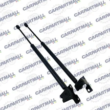 2002-2004 Nissan Pathfinder Rear Trunk Liftgate Support Shock Struts Pair LH RH