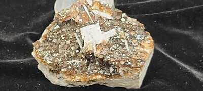 FLOURITE w/ CELESTITE  : CLAY CENTER, ( WRITE ROCK QUARRY) OTTAWA, OHIO USA 428G