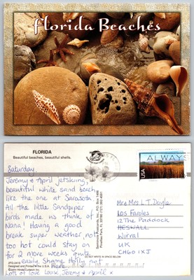 c20429 Strände Muscheln Florida USA Postkarte 2008 Stempel