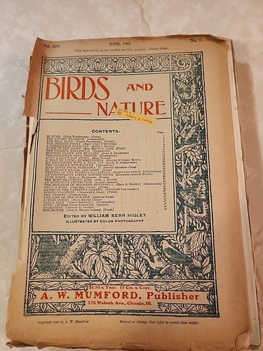 10 Birds And Nature Magazine January to June, Sept to Dec 1903 A.W Mumford - Picture 13 of 23