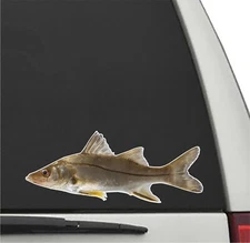 FAT SNOOK Fish Vinyl Decal Car Truck Sticker Fishing Decal