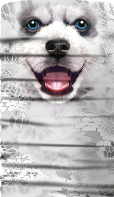 Junk Drawer - Face Mask/Scarf - Neck Gaiter - Huskie - Dog