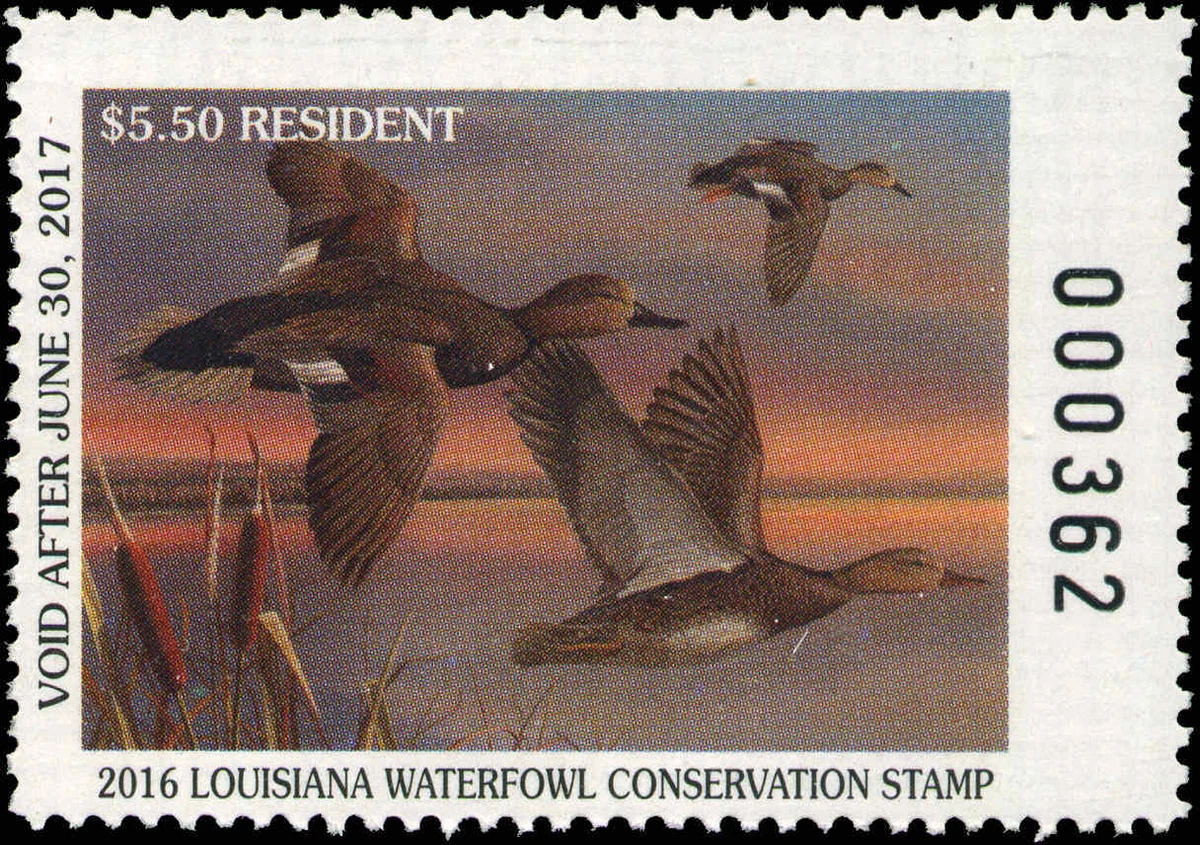郵票年鑑 2017 106年 路易斯安那鸟类美国书背鸭类邮票|