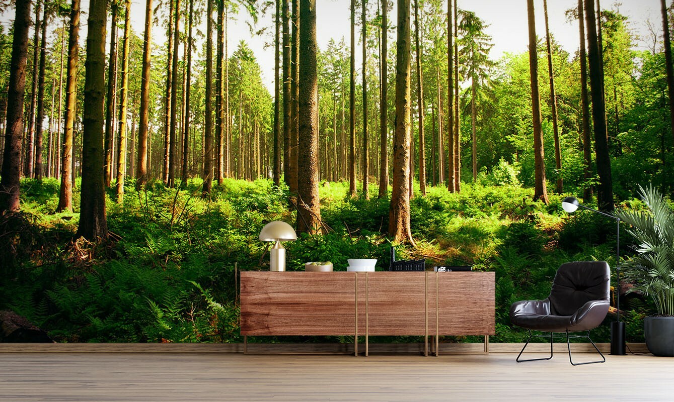 Grass Forest 3D Wall Mural Australia Removable Wallpaper Murals eBay