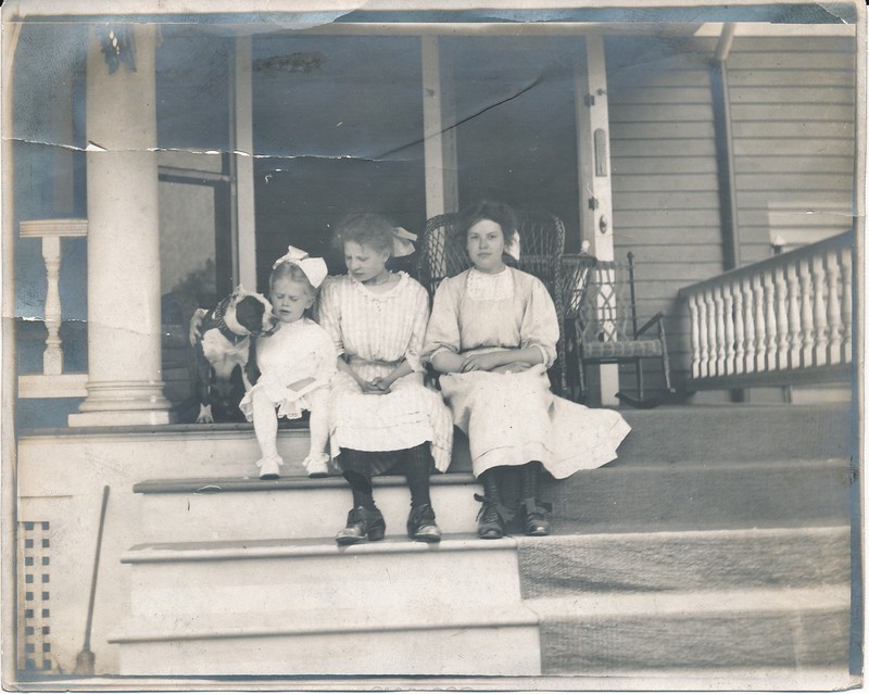 vintage snapshot photo: 1907 Pit Bull Terrier Dog Pitbull Photograph Girls #25