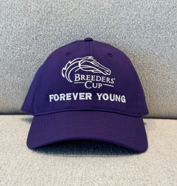Breeders' Cup Horse Racing Fan Cap, Hats for sale | eBay