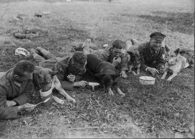 German soldiers & their working dogs having a midday rest from man Old Photo