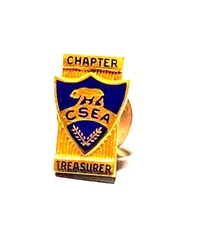 CSEA Calif. School Employees Assoc. Chapter Treasurer Tie Pin 10K Gold Filled