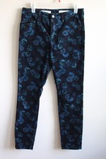 Pilcro Anthropologie 28 Blue Floral Velvet Script High Rise Skinny Leg Pants