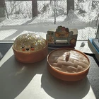 SUPER RARE Crazy Fun Rainbow Mystery Squishy Bun Dumpling - Shimmering Starlight