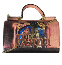 New Authentic Dolce & Gabbana Dauphine Roma Print Wallet On Chain Crossbody Bag
