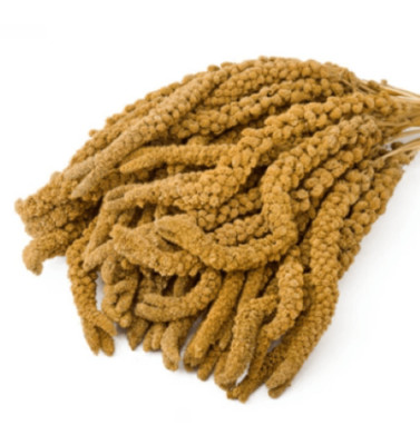 Eurital französische Kolbenhirse 5 kg gelb - für Kanarien, Wellensittiche, Vögel