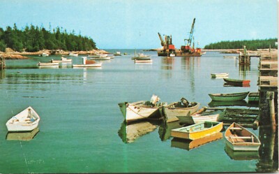 Boats Bunkers Harbor Maine Scenic View Vintage Postcard Unposted