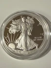 2010 American Eagle One Ounce Proof Silver Coin with COA and Box