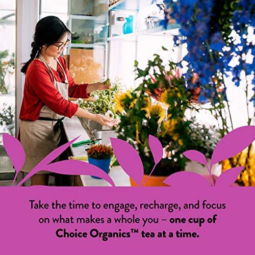 Choice Organics - Organic Darjeeling Tea (6 Pack) - Fair Trade - Compostable ... - Picture 6 of 7
