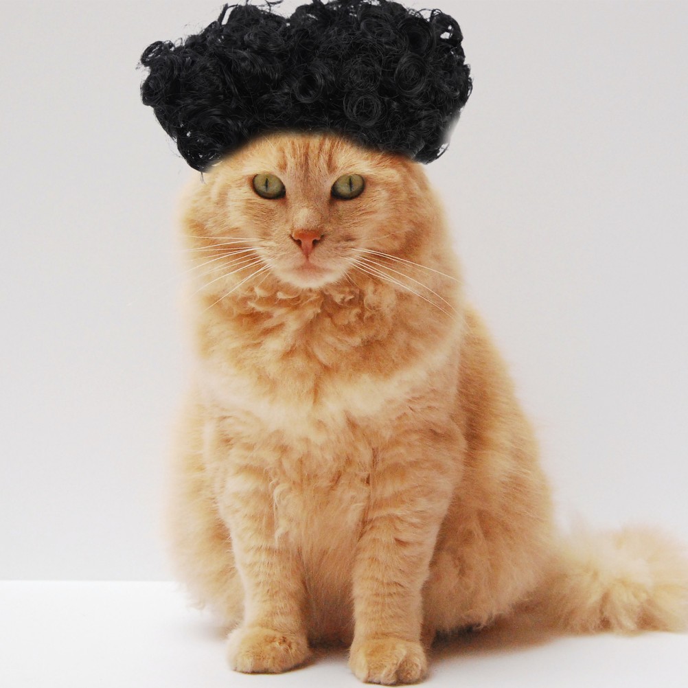 Confezione 2 Copricapo Creativo Animali Domestici Cuccioli Accessori Pelo Cane -Cosplay foto 4