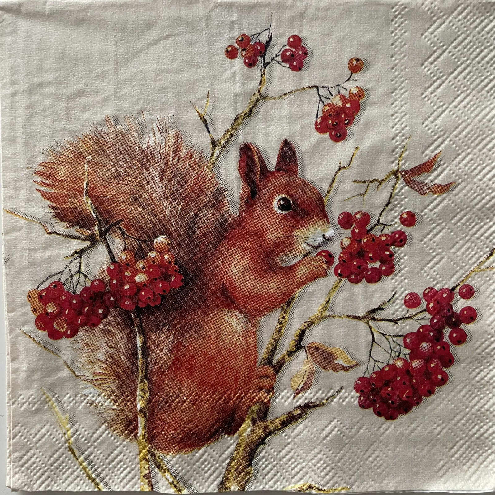 4 Cocktail paper napkins Tammy Red Squirrel Berry Branch Autumn For decoupage