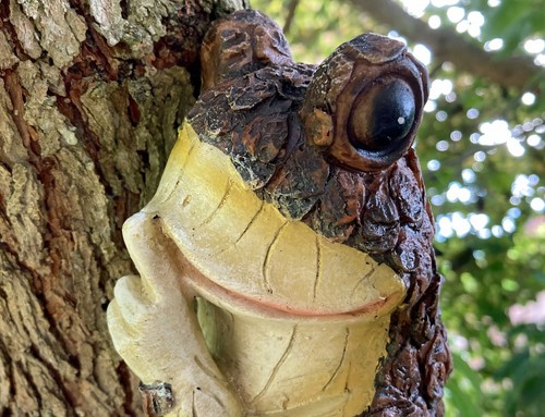 Wall mount Frog Garden Ornament Fence Tree hanging décor Garden Pond ...