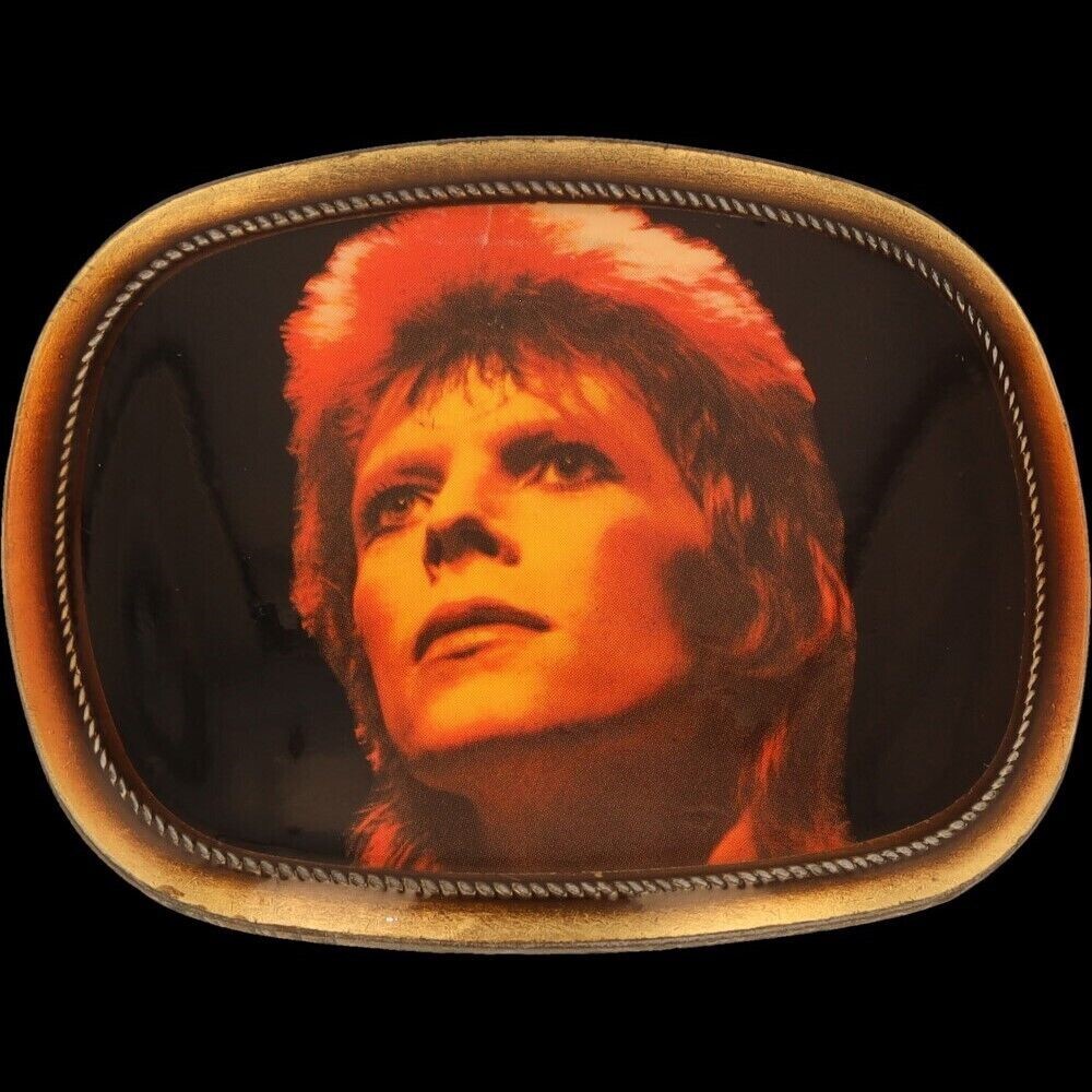 David Bowie Ziggy Stardust Rock Music Memorabilia Rare 1970s 