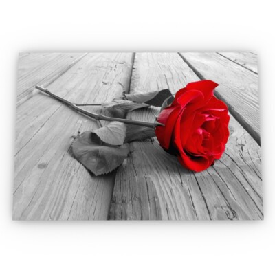 Rote Rose gegen Schwarz-Weiß Kunst Poster Satin Hochwertig Archiv A1 A2 A3