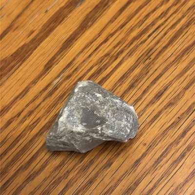 Small Brachiopod Shell Fossil Pennsylvanian Era Ohio Imprint In Limestone Rock