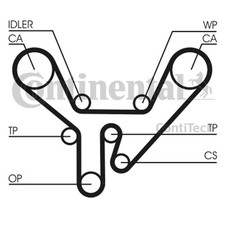 Zahnriemen CONTINENTAL CTAM CT727 für AUDI A6 A8 V8 100 C4 4D2 442 4D8 4A2 441