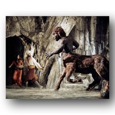 Caroline Munro John Phillip Law Photo 8x10 The Golden Voyage Of Sinbad 1970s