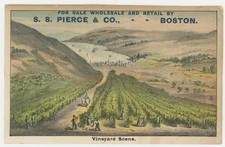 Vineyard Pleasant Valley Wine Co Hammondsport NY Finger Lakes 1880's Trade Card