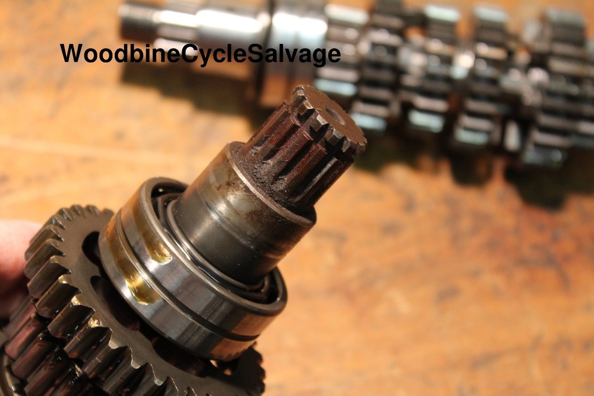 みかた Amazon.com: NICHE 520 Pitch 16 Tooth Front Drive Sprocket