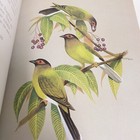 Picture 20 of 21