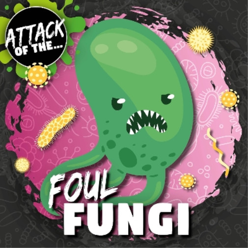 Thumbnail - William Anthony Foul Fungi (gebundene Ausgabe) Attack Of The…