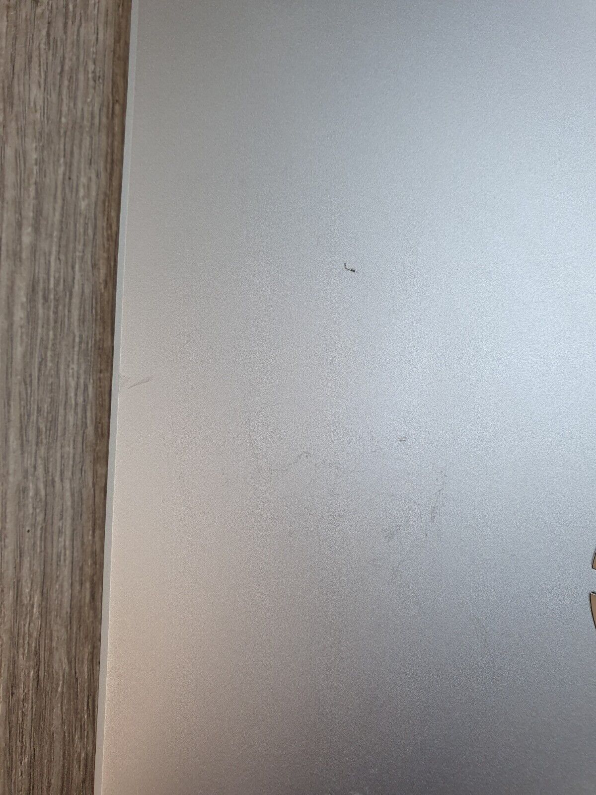 Picture 6 of 10