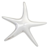 Jobo AnhäNger Seestern 925 Sterling Silber Rhodiniert